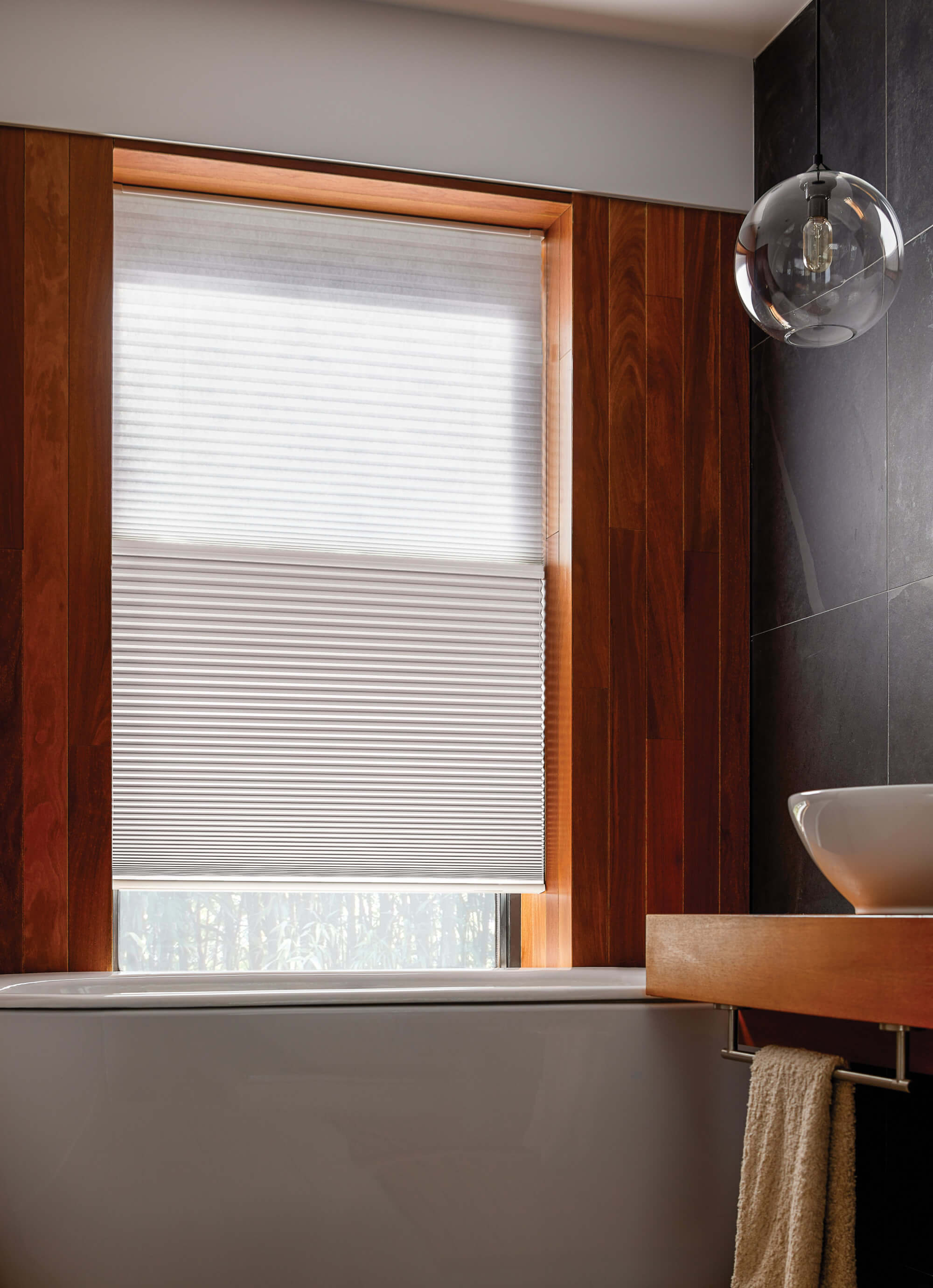 Dual Honeycomb Shade