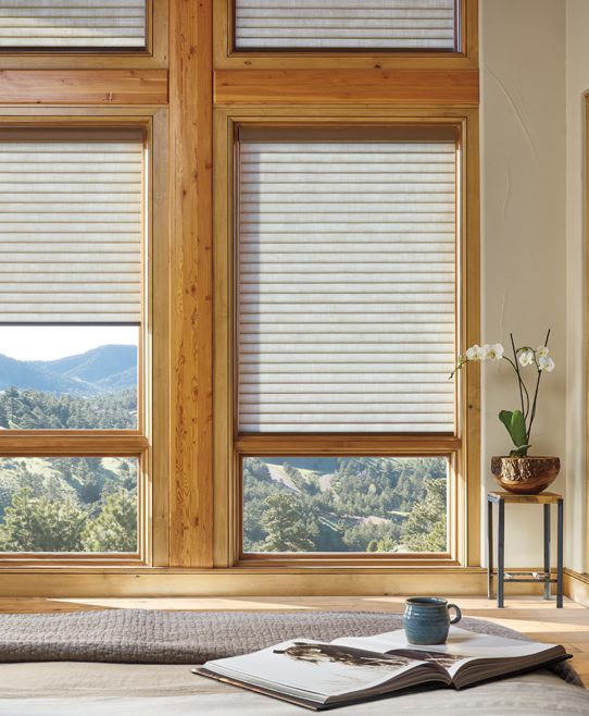 Hunter Douglas Sonnette Shades