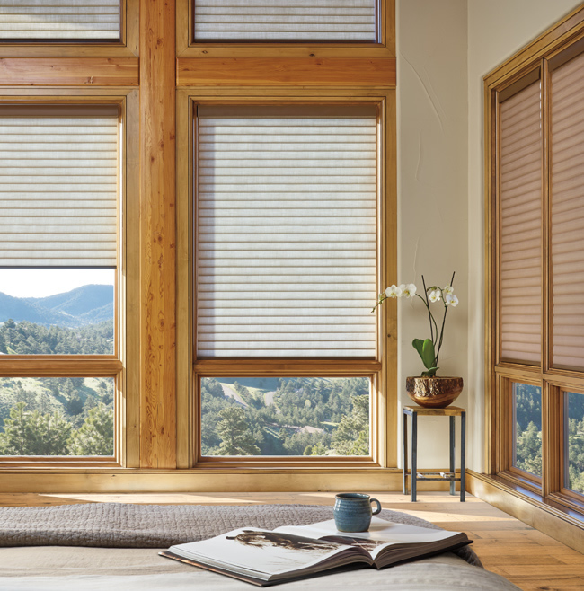 Hunter Douglas Sonnette Shades